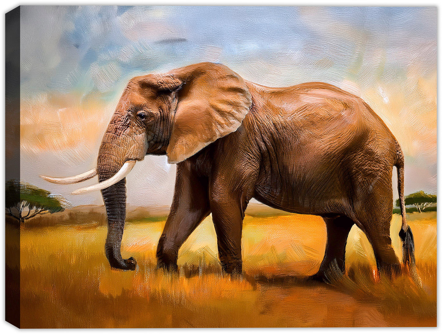Elephant painting or a elephant with large tusks walking through a grassy field. Printed on Canvas and wrapped.