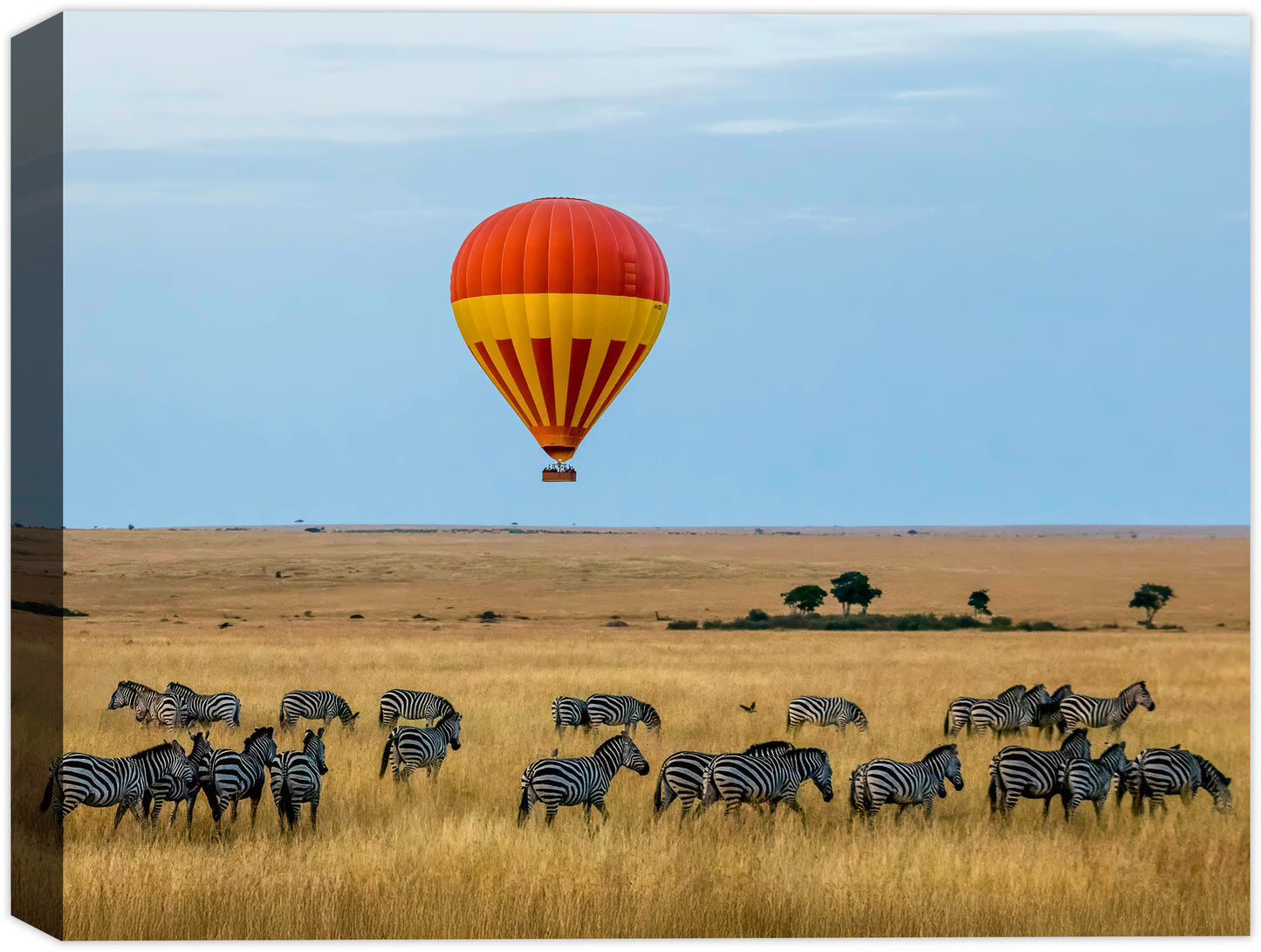 photo of a hot air balloon with zebras roaming the grassy plains below