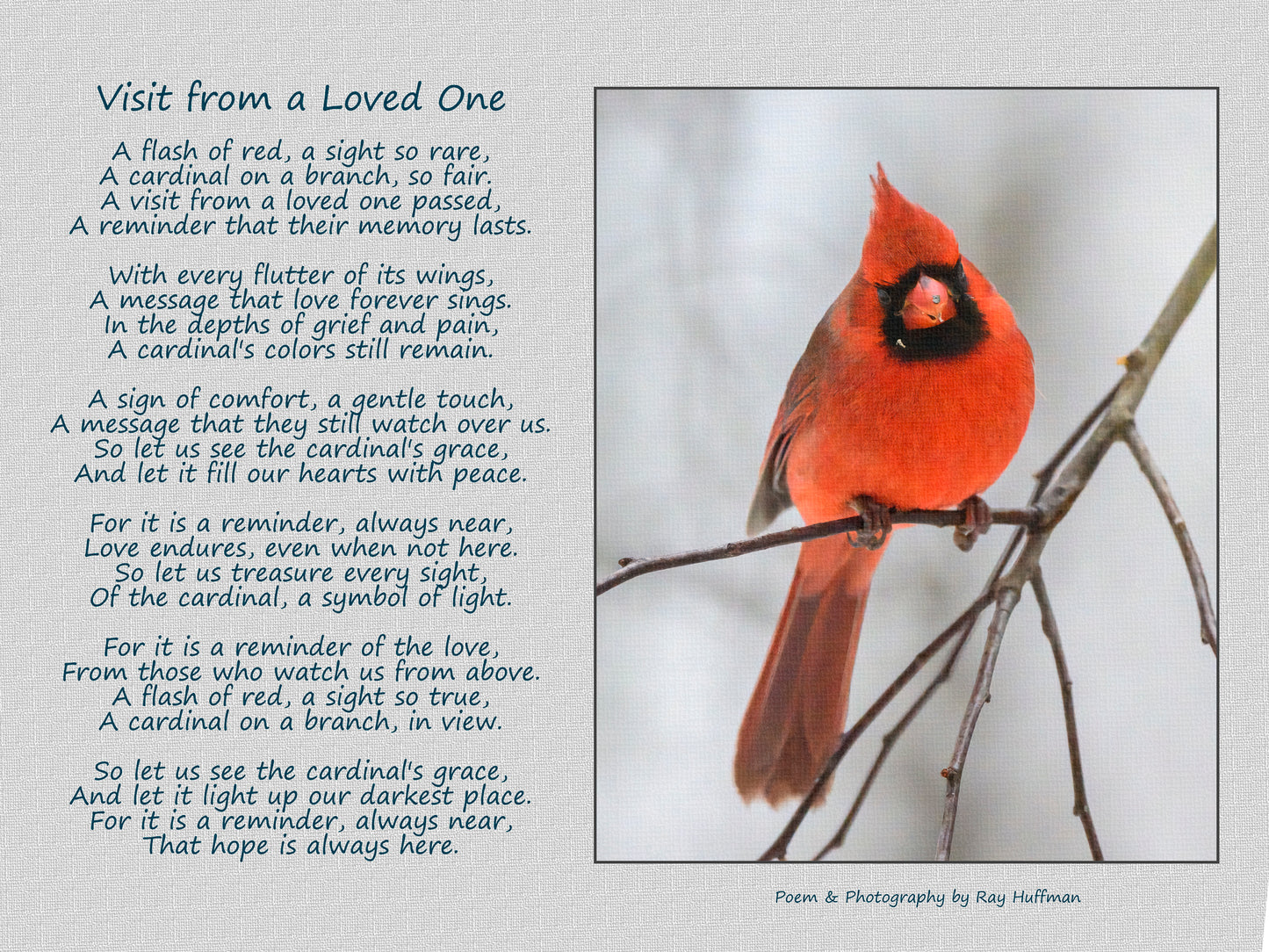 Fine Art Photo and Text of a Male Cardinal with Text about a loved one who has passed. Printed on Canvas.