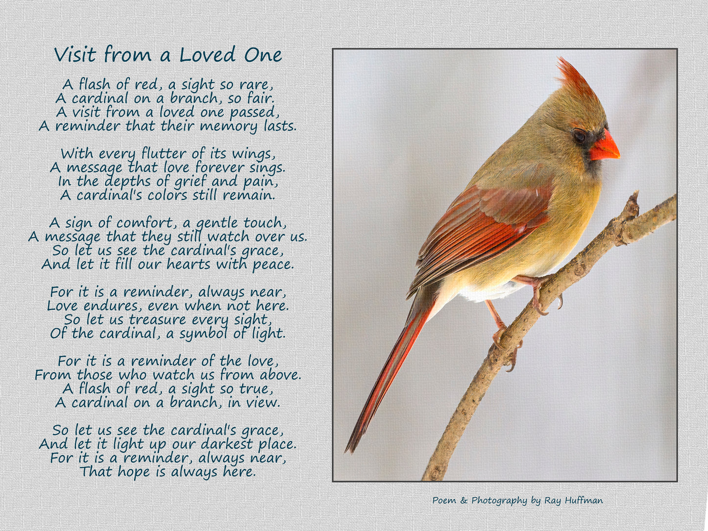 Fine Art Photo and Text of a Female Cardinal with Text about a loved one who has passed. Printed on Canvas.