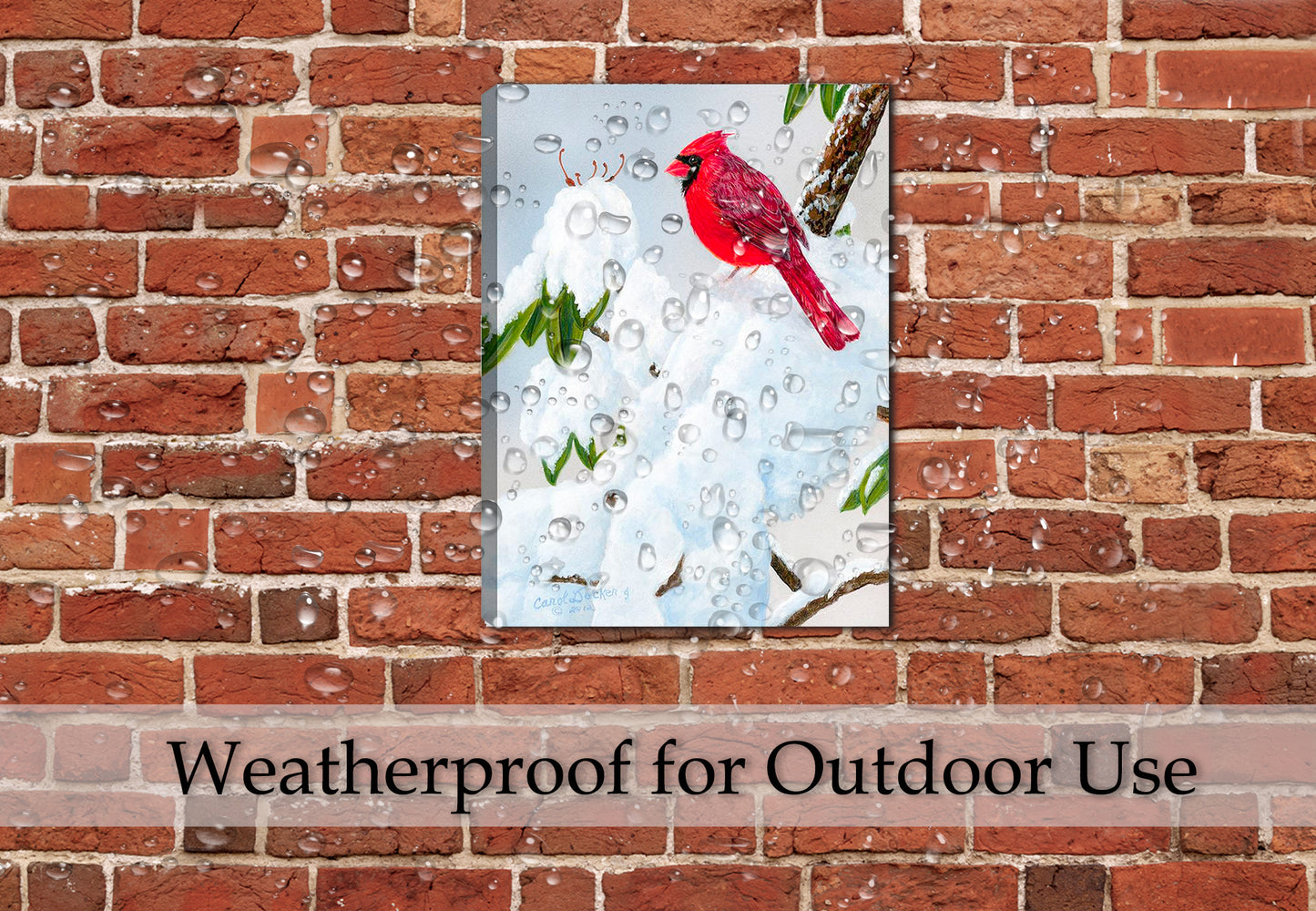 Cardinal on Snow - Painting on Canvas - Hanging on Outdoor Patio Brick Wall