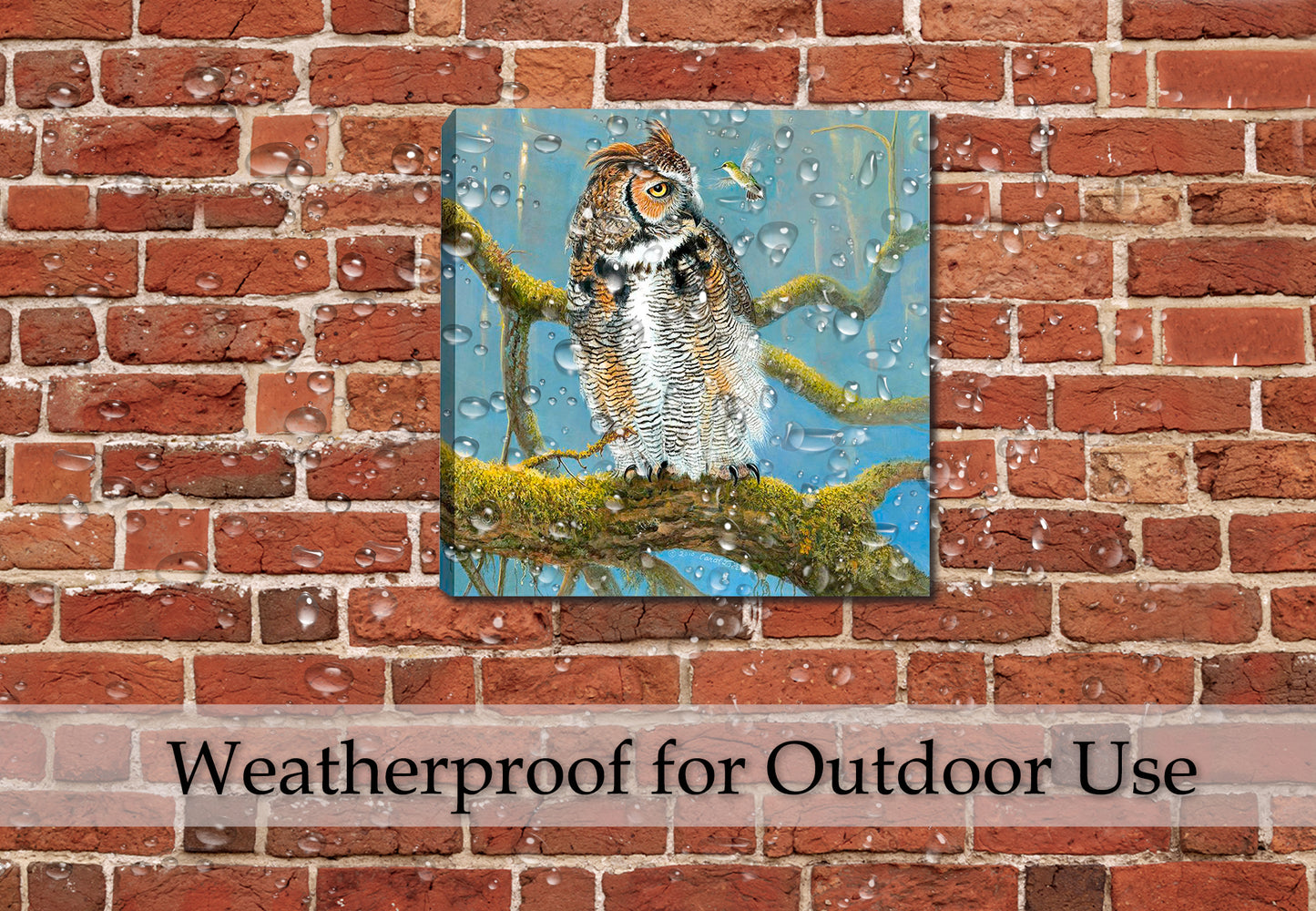 Fearless Owl Painting - Hung on Patio Brick Wall - Waterproof for Outdoor Use.