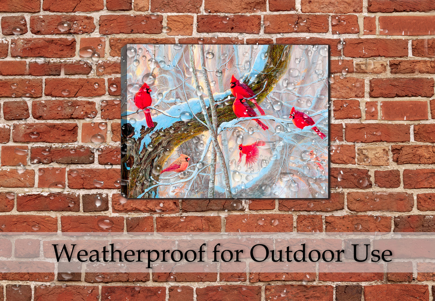 Painting of Several Red Cardinal perched on Snow Covered Tree Branches - Printed on Waterproof Canvas - Hanging on Brick Patio Wall in the Rain