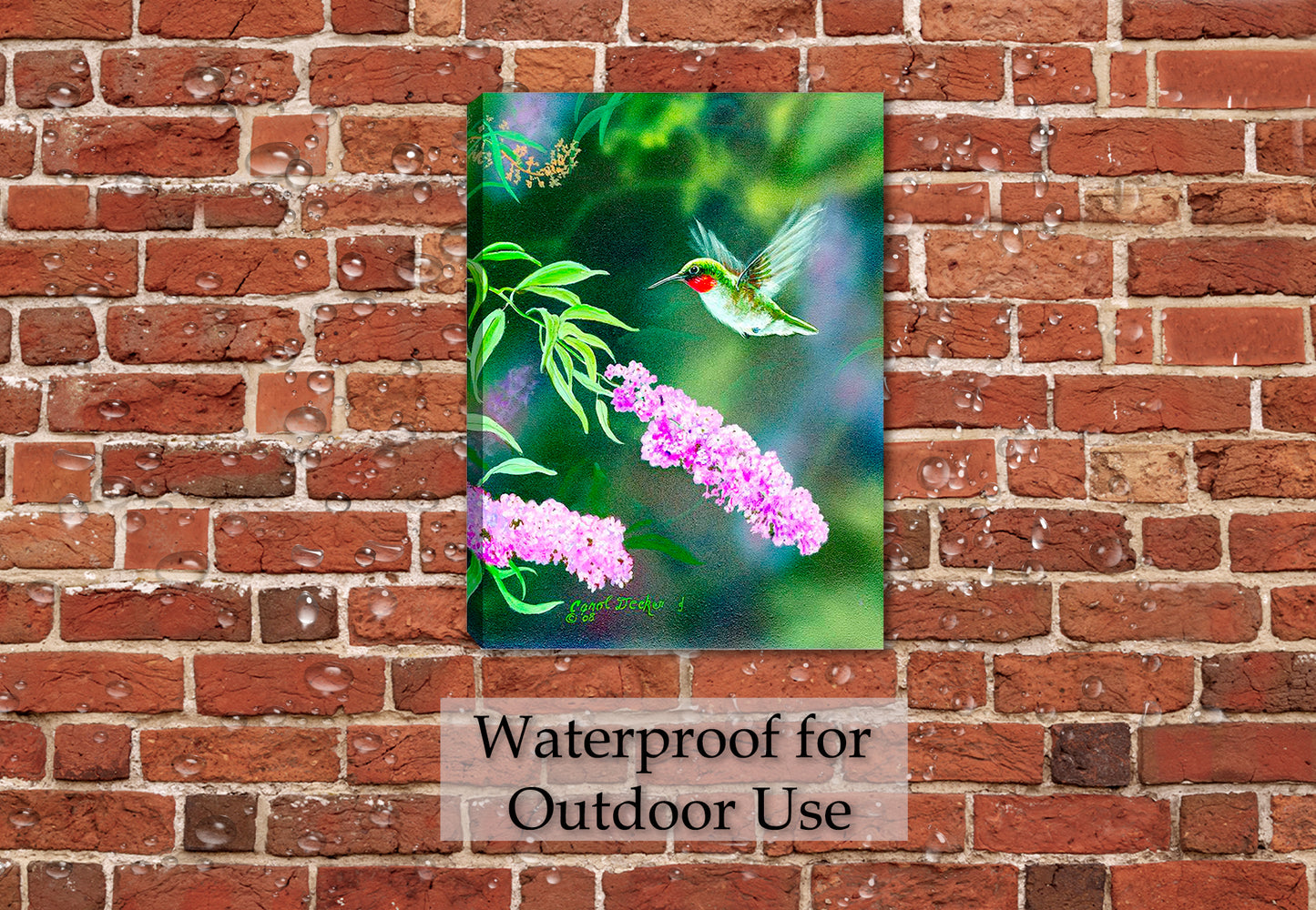 Summer Joy - Hummingbird Painting - Printed on Outdoor Waterproof Canvas. Hanging on Brick Patio Wall in the Rain.
