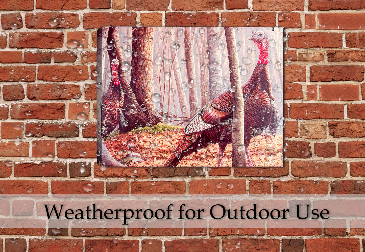 Painted Turkey in the Woods by Carol Decker. Printed on Outdoor Waterproof Canvas - Hung on Patio Wall in the Rain.