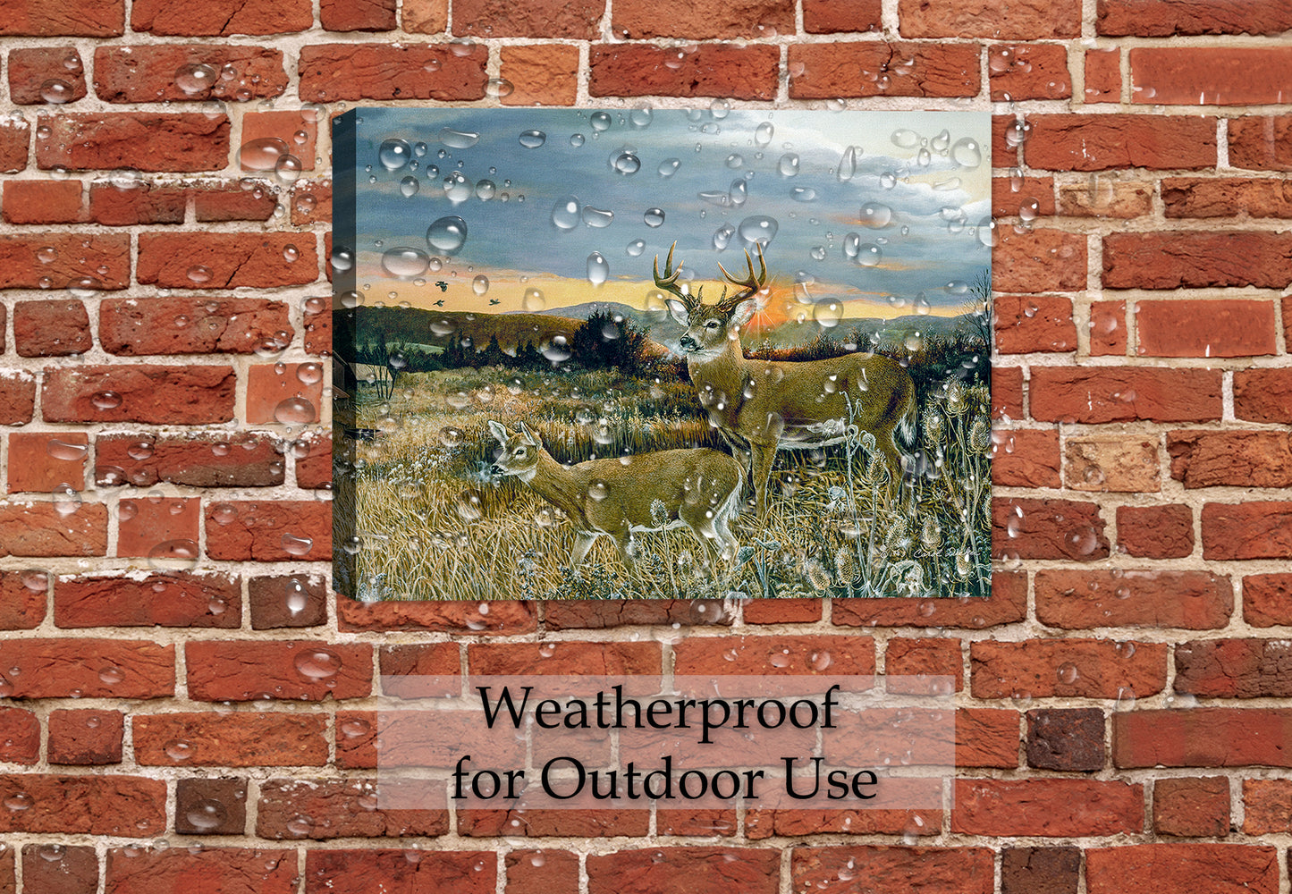 Painting of a Buck & Foal hanging on a Outdoor Patio Wall