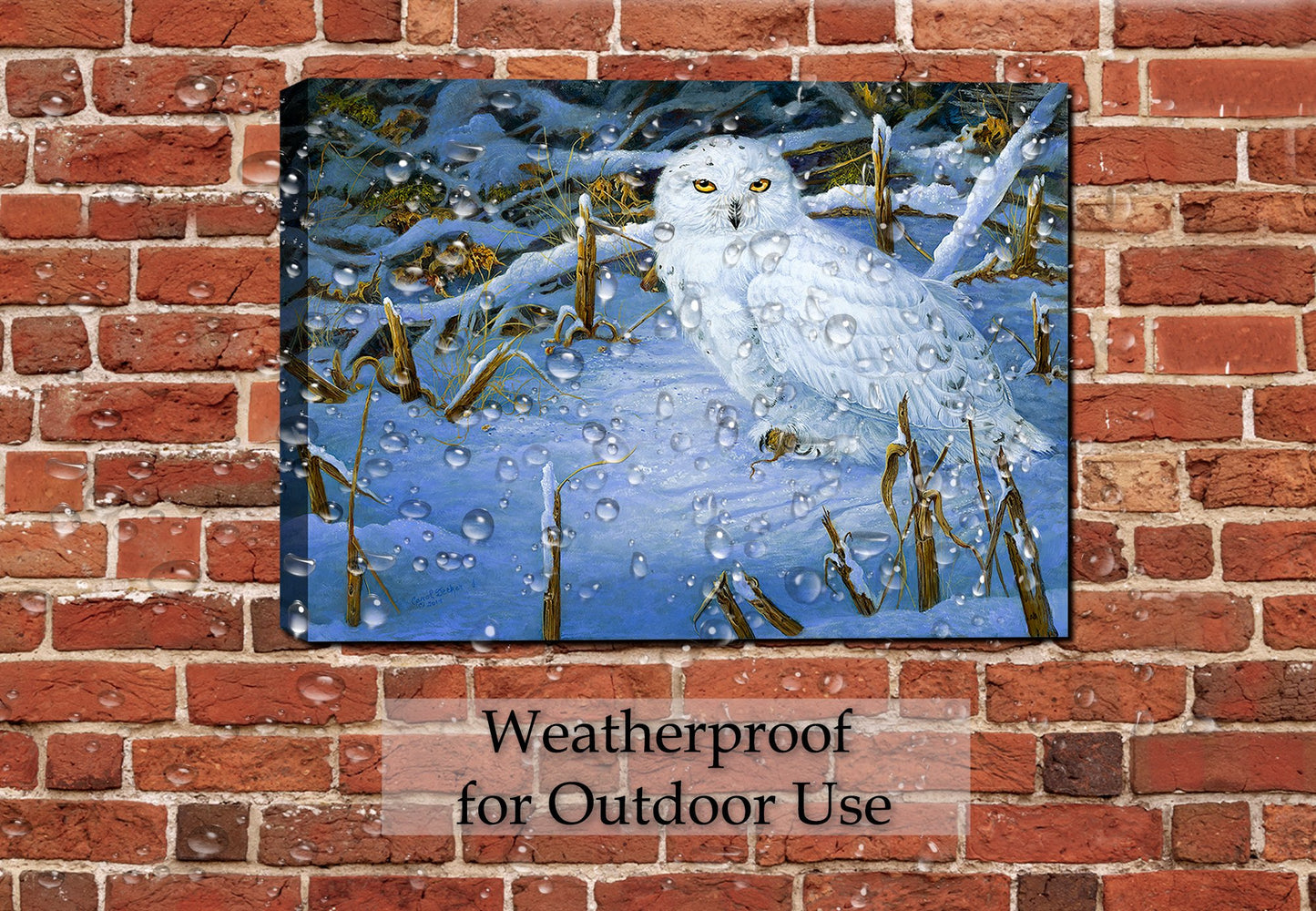 Owl Painting Hangin on Patio Wall in the Rain
