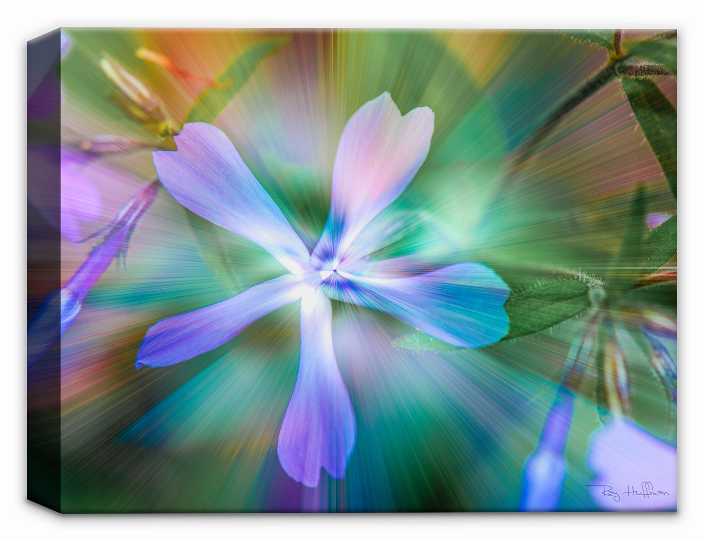 Abstract Flower Twirl on Canvas