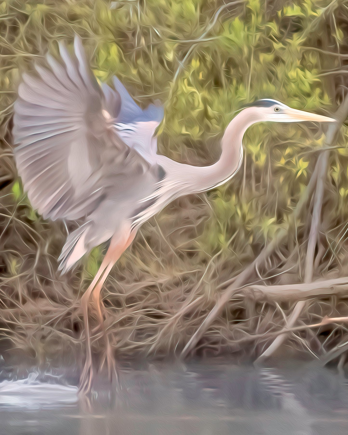 White Egret Close Up of Painting