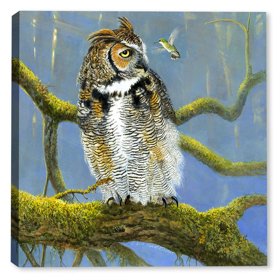 Fearless Owl - Painting by Carol Decker – Canvas Art Plus