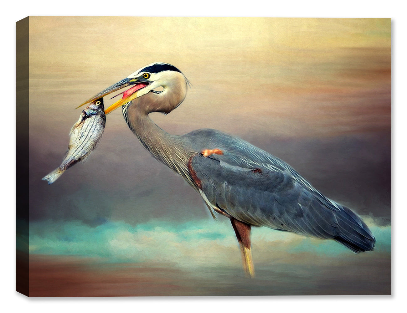 Painting of a Blue Heron with a large fish in its mouth. Printed on a canvas wrap.