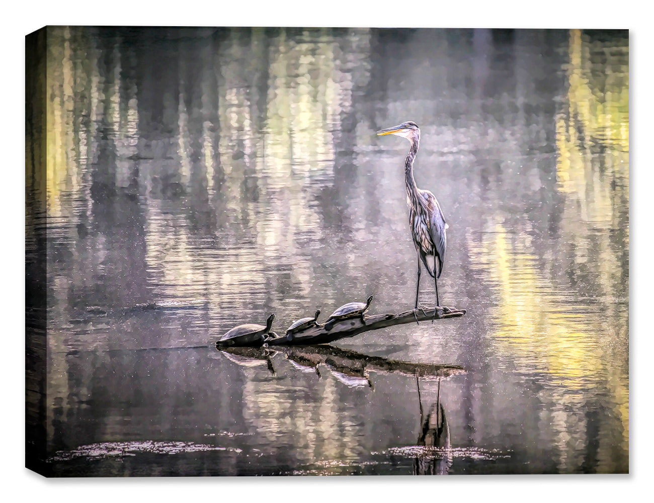 an image of a blue heron appearing to be lecturing 3 turtles. print on a canvas wrap.