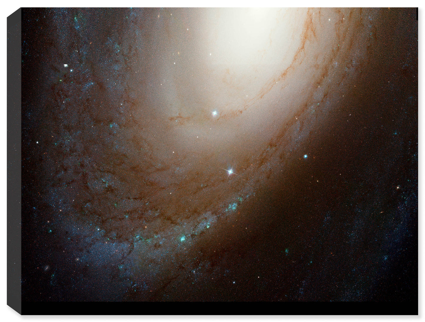 Photograph of Space - Galaxy M81 - Printed on Canvas for Outdoor Use