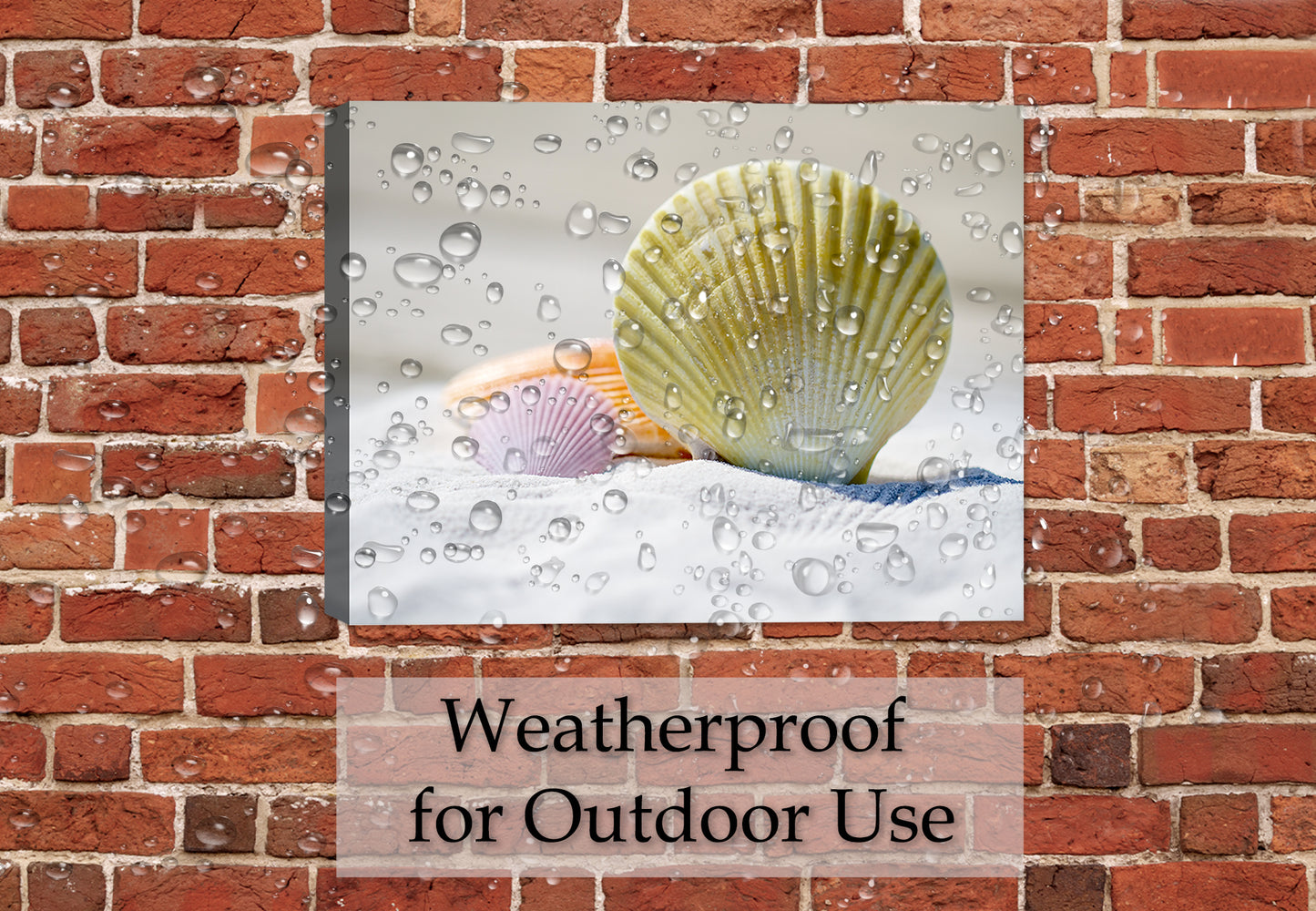 Image of Seashells sitting on sugar white sane. Printed on waterproof canvas. Hung on Brick Patio Wall in the Rain.