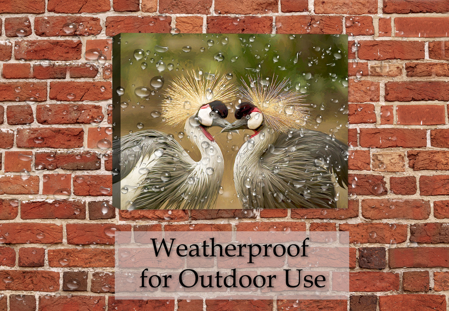 Avian Love Image on Canvas Hanging on brick patio wall - outdoor waterproof canvas