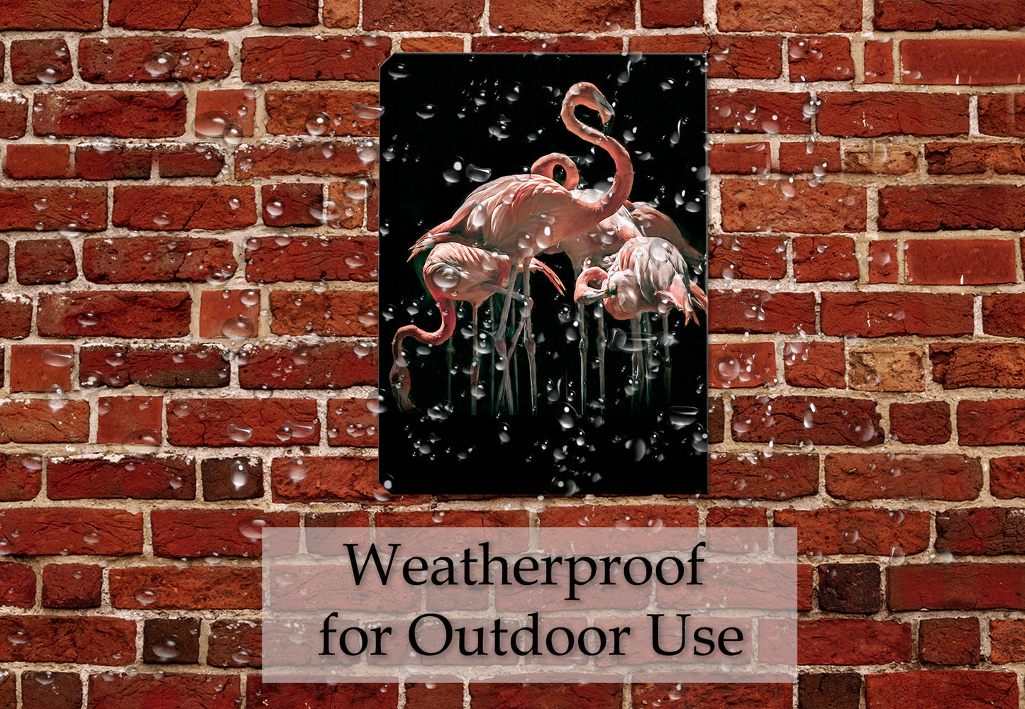 Fine Art Photography of Flamingos on Canvas - Hung on Patio Wall for Outdoor Use - Waterproof