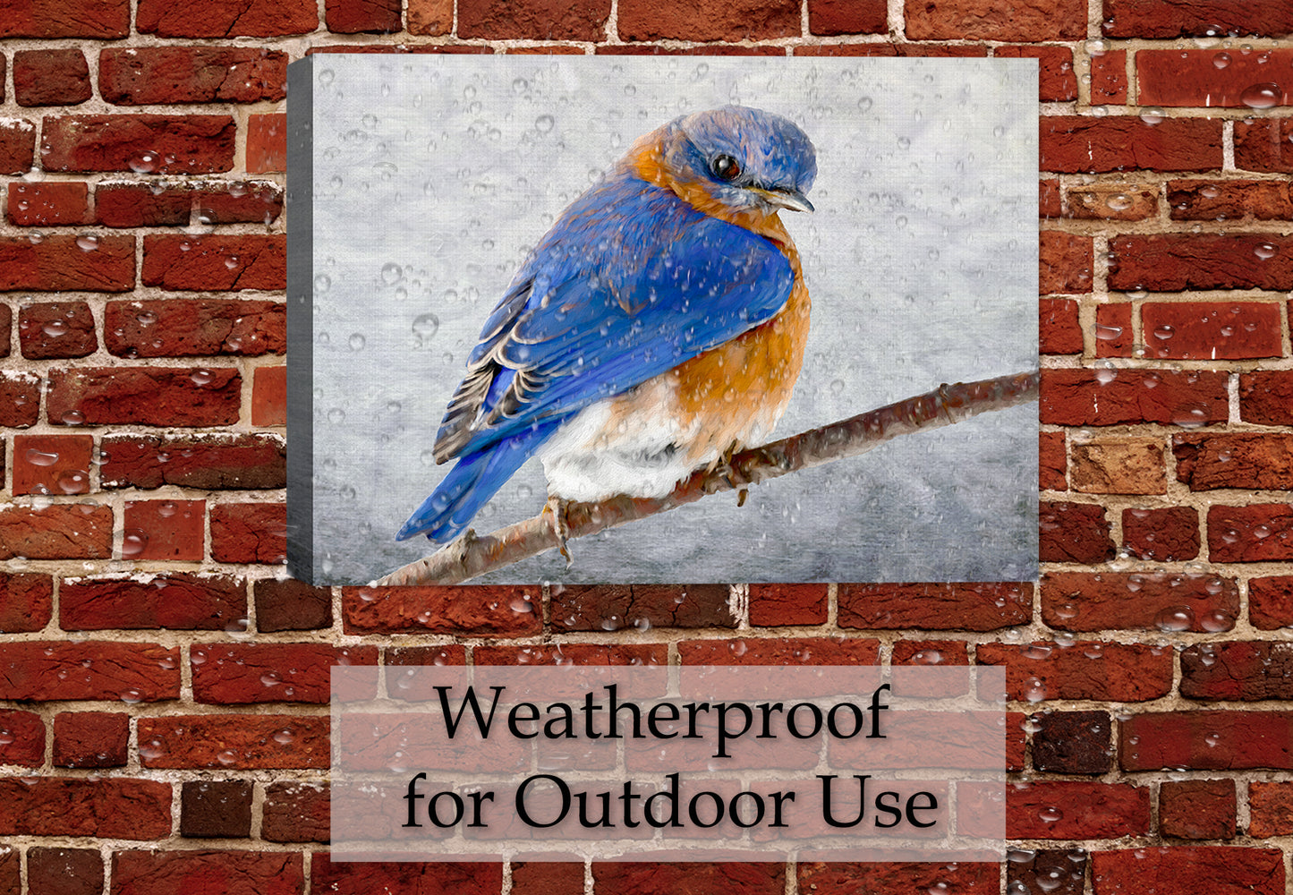 Painting of a bluebird on a branch by Carol Decker, printed on a canvas wrap hanging on a brick wall on the patio.