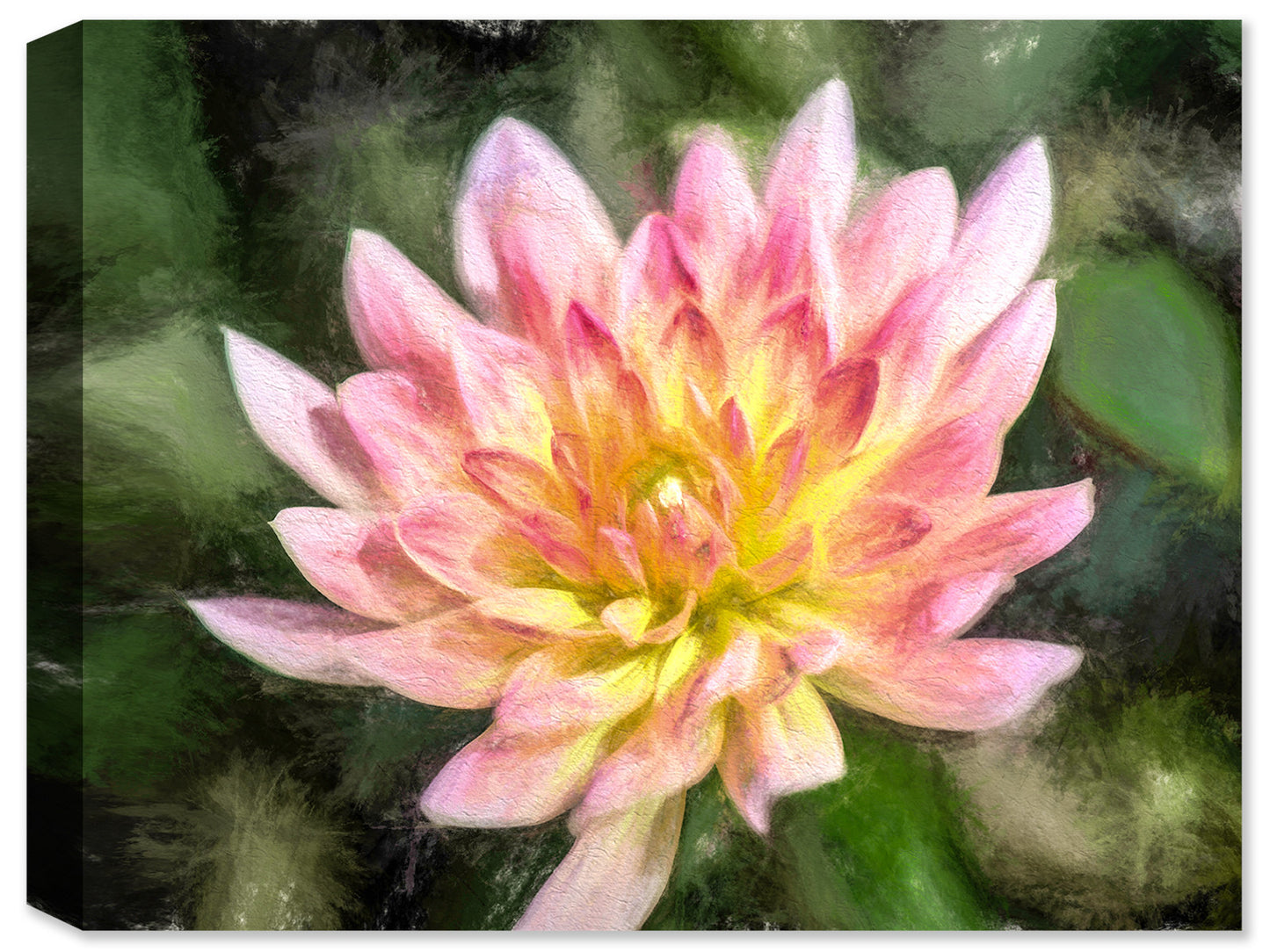 Dahlia #1 - Ink on Fine Art Canvas - Canvas Art Plus