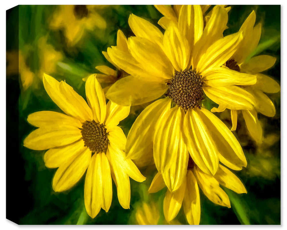 Wildflower daisies on Sunlit Day - Ink on Fine Art Canvas