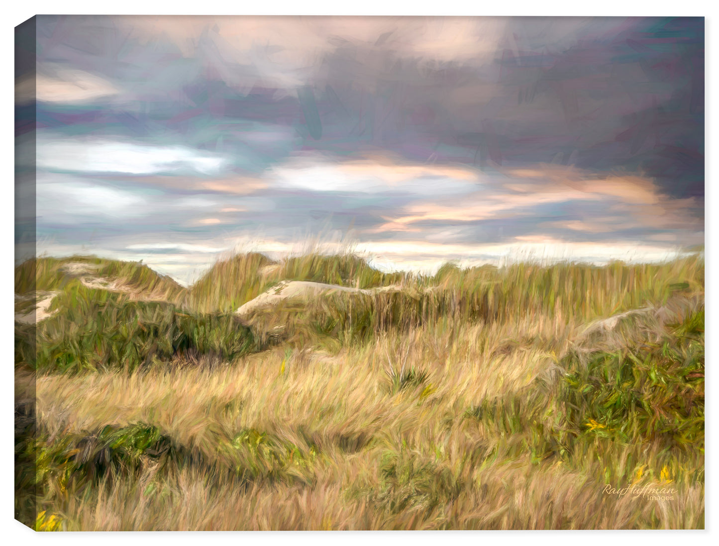 Atlantic Coast view of the Grasses just beyond the beach and Ocean with Storm Clouds looming. Printed on Canvas.