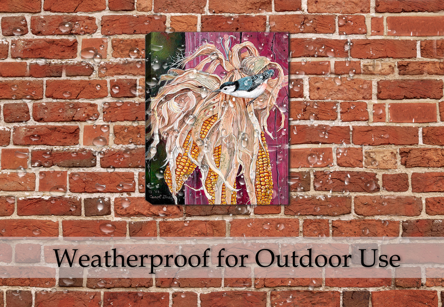 Nuthatch Bird Painting on Canvas hanging on Brick Wall on an Outdoor Patio - Waterproof