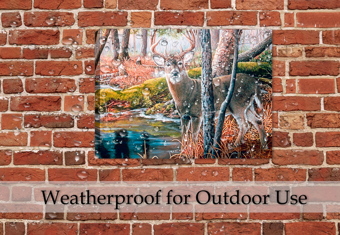 Canvas wrap image of a buck by the water in the woods hanging on the brick wall on a patio.