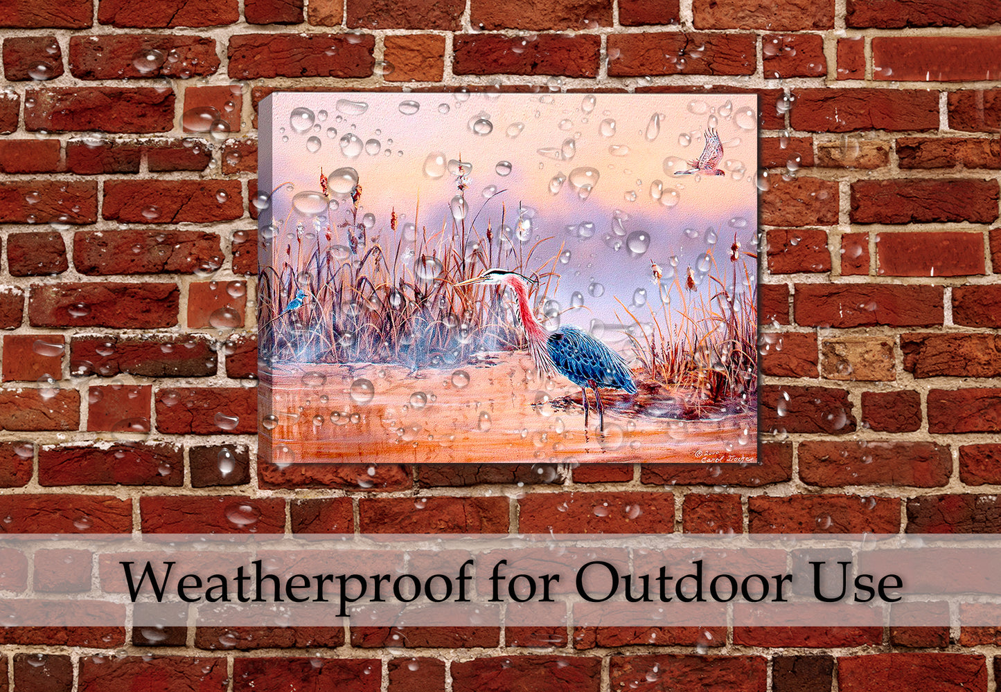 Blue Heron in Wetlands - Painting by Carol Decker - Printed on Canvas Wrap and hanging on Patio brick wall.