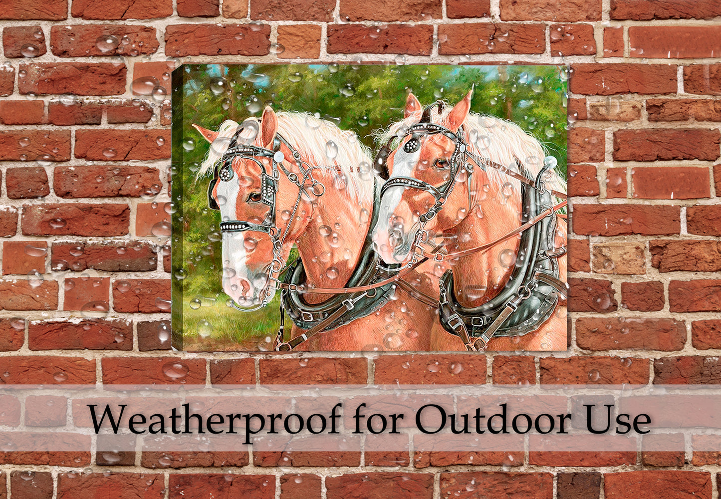 Buck and Babe - Horses by Carol Decker - on Canvas hanging on outdoor patio wall - waterproof canvas.