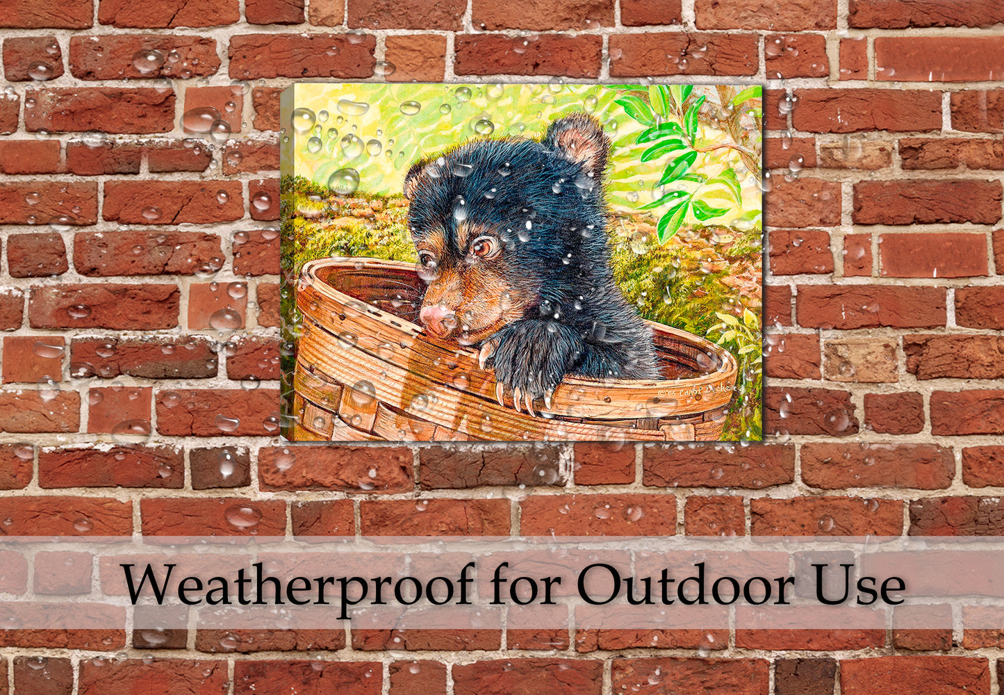 Caught in the Art - Cub Bear - Printed on Canvas - Hanging on Outdoor Patio Brick Wall - Waterproof