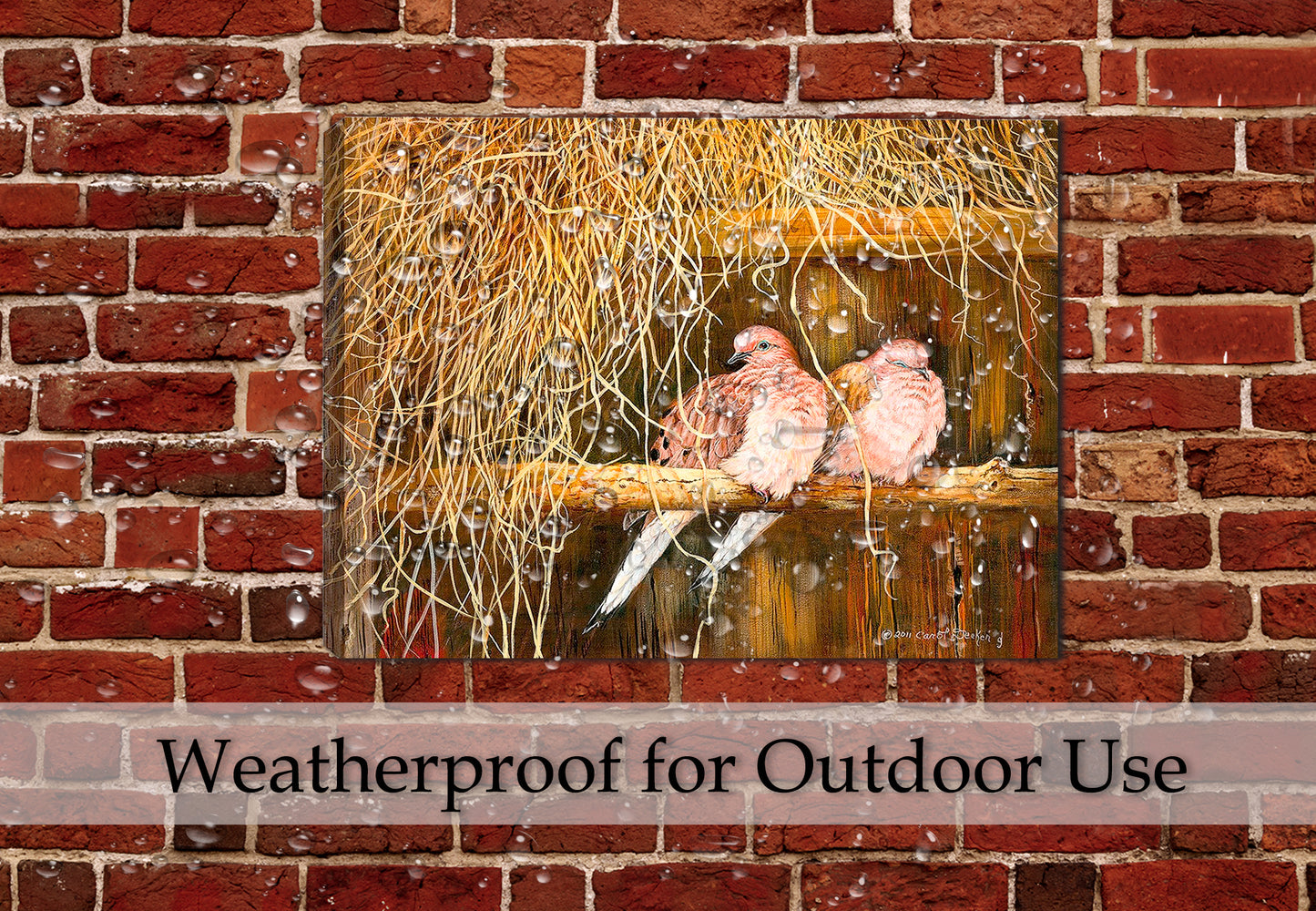 Feather Bed Mourning Doves - Painting on Canvas - Hung on Brick Patio Wall - Waterproof fo Outdoor use.