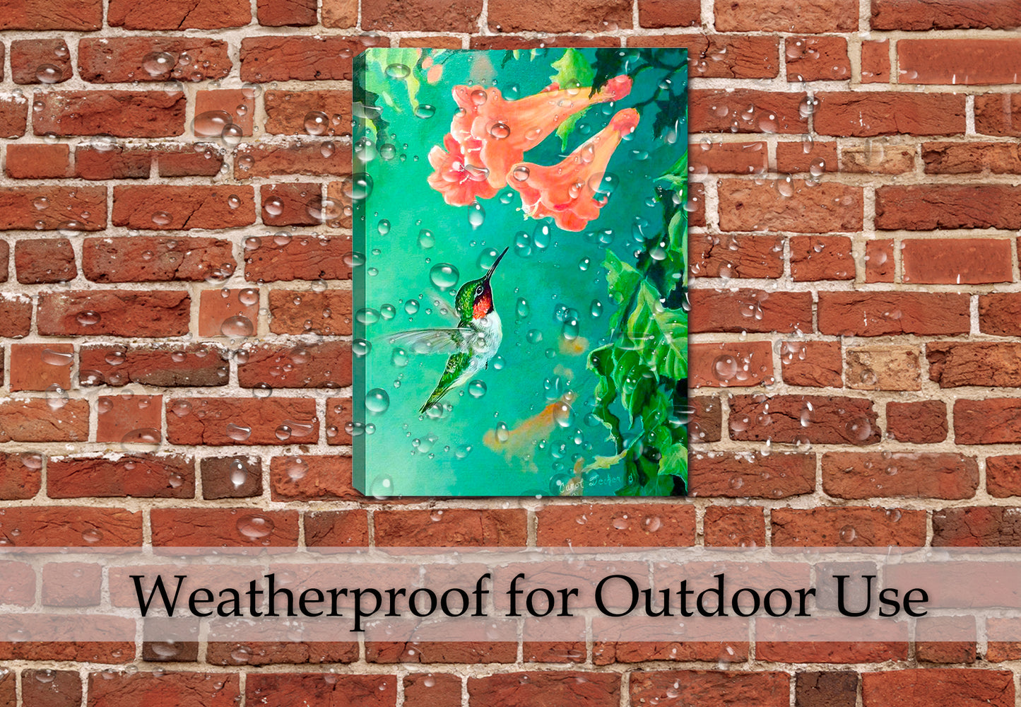 Hummingbird and Trumpet - Painting Printed on Canvas - Hanging on Outdoor Patio Wall in the Pouring Rain - Waterproof Canvas Painting