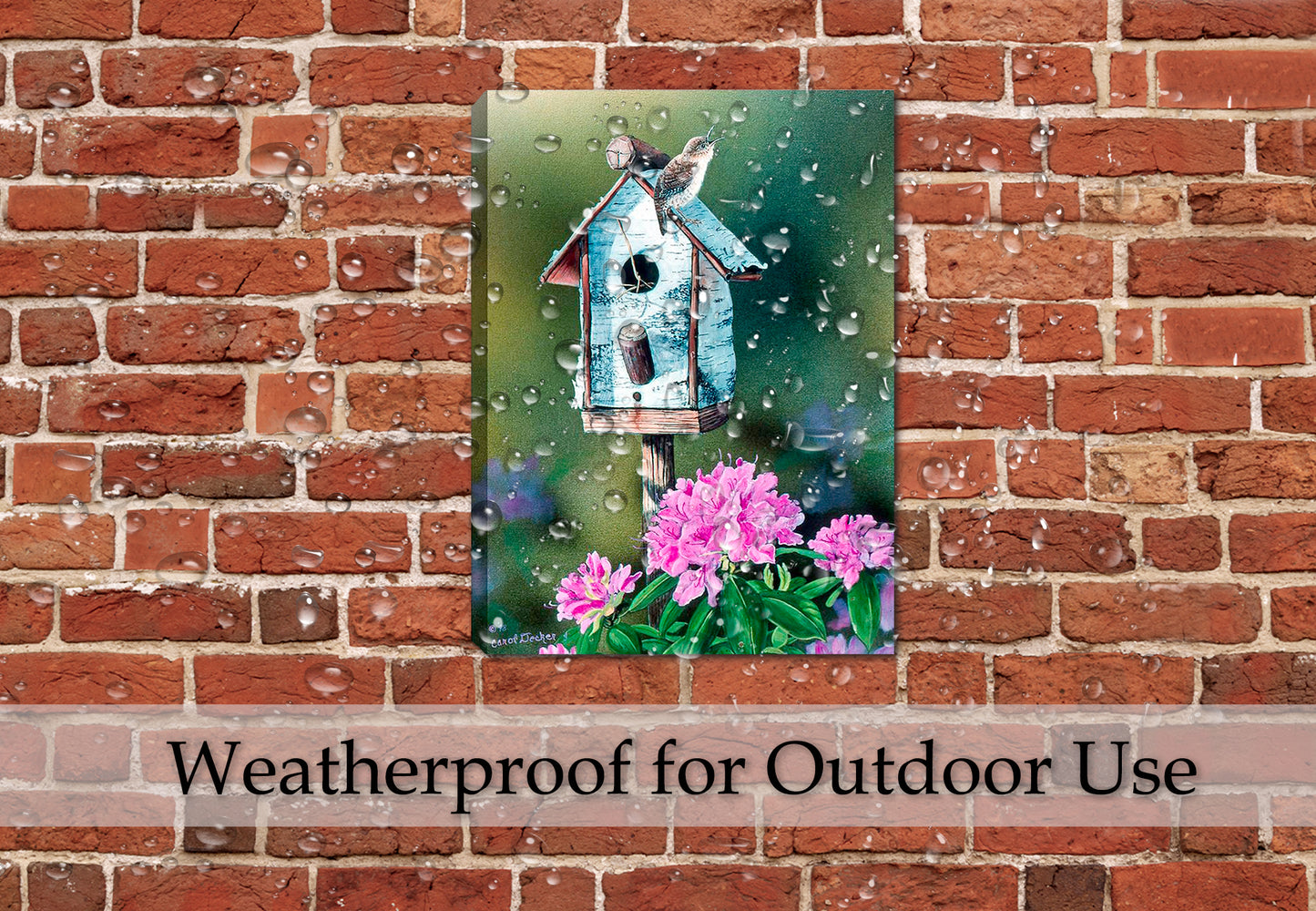 Painting of a Wren sitting on a birch bird house with colorful flowers in the foreground. Printed on Waterproof Canvas - Hung on Outdoor Brick Patio in the Rain. Waterproof for outdoor use.