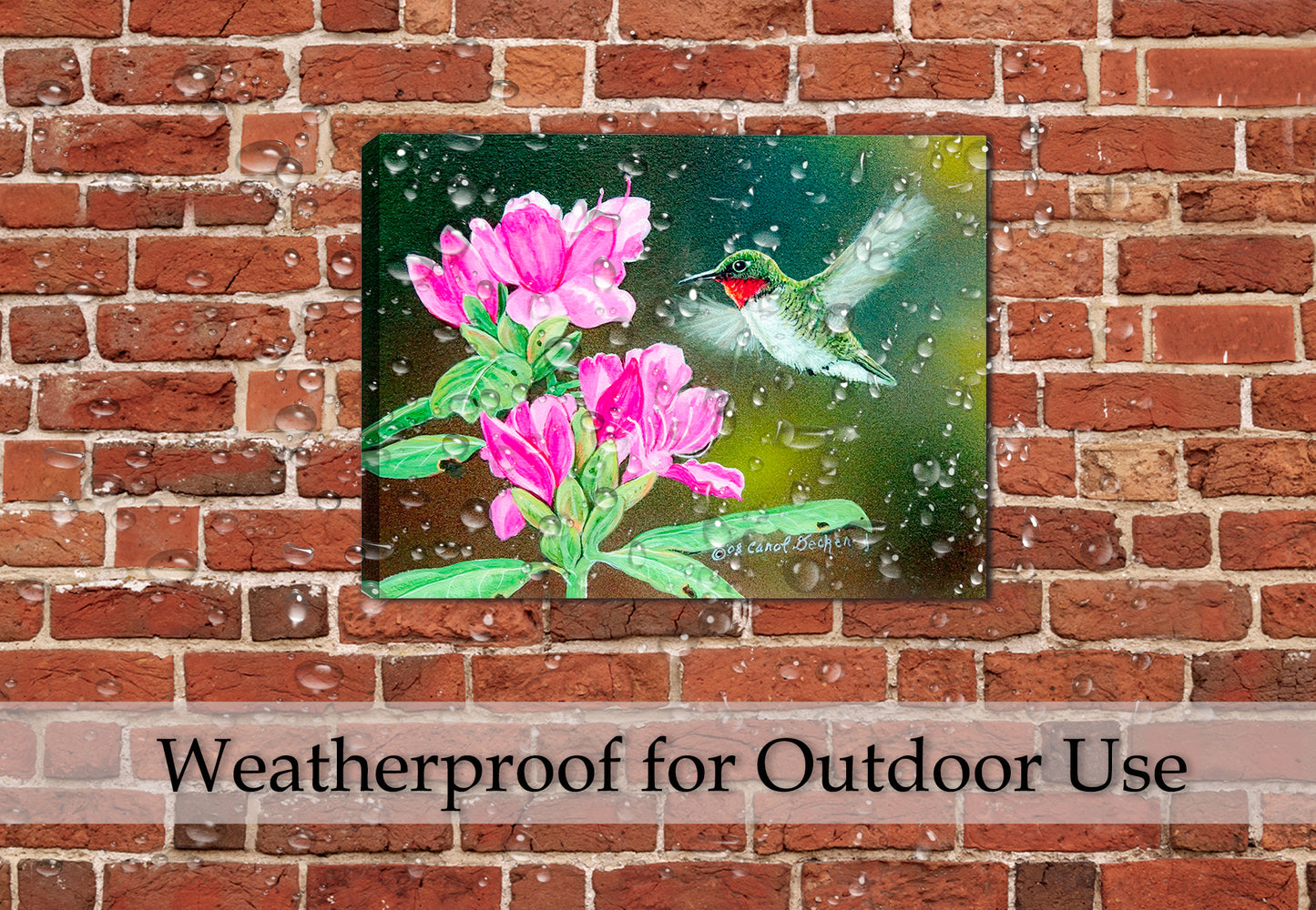 Painting of a Hummingbird hovering of flowers - printed on Waterproof Canvas - hanging on Brick Patio Wall in the pouring rain.
