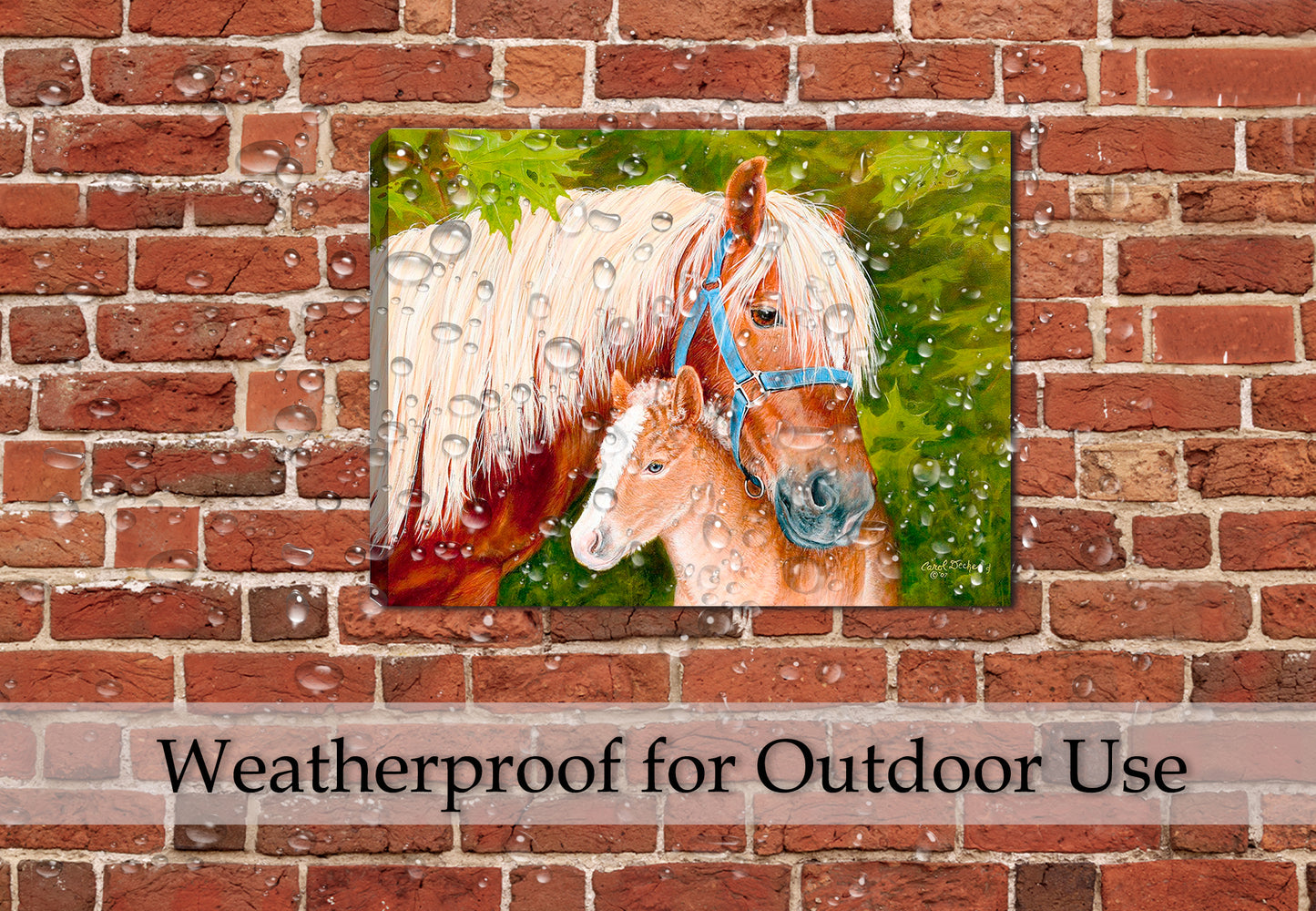 Painting of a Horse and Foal on Waterproofed Canvas Wrap hanging on a an outdoor Patio wall.