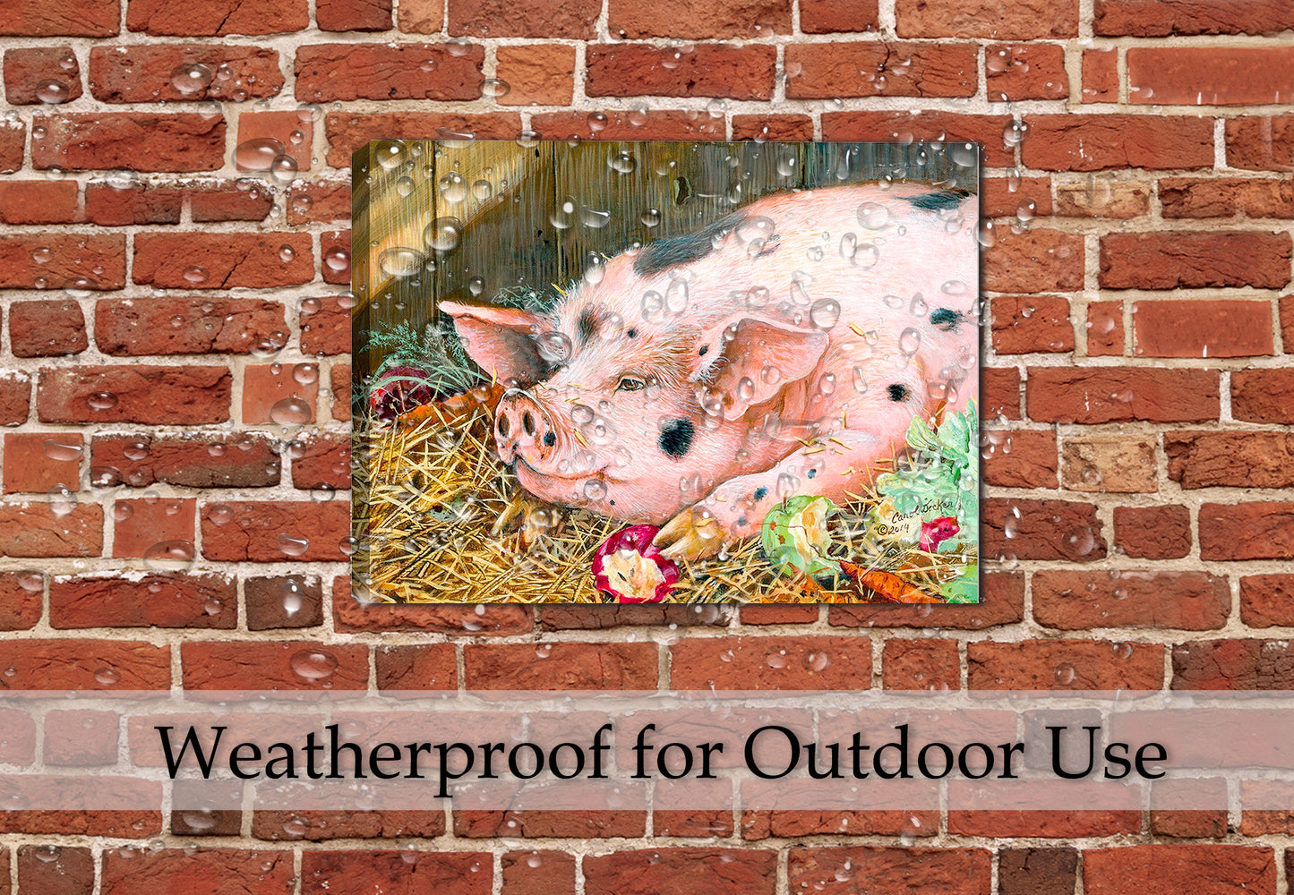 Painting of a Pig on a Waterproofed Canvas Wrap hanging on an outdoor patio wall in the rain.