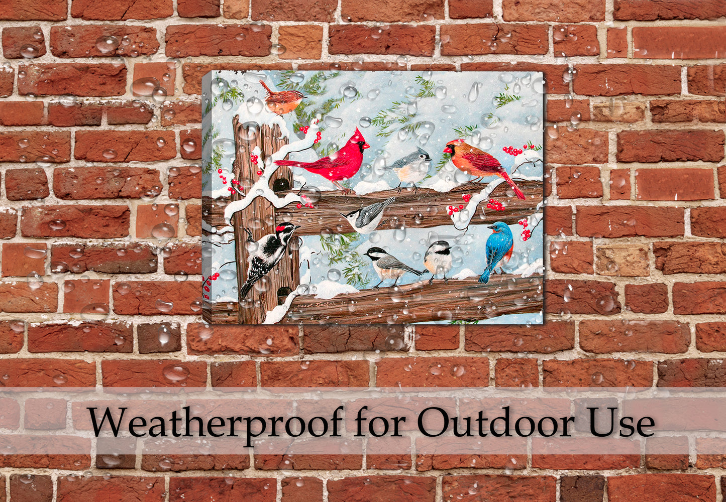 Songbirds on Snow Covered Fence - Convention - Painting by Carol Decker - Printed on Waterproof Canvas - Hung on Brick Patio Wall in the rain