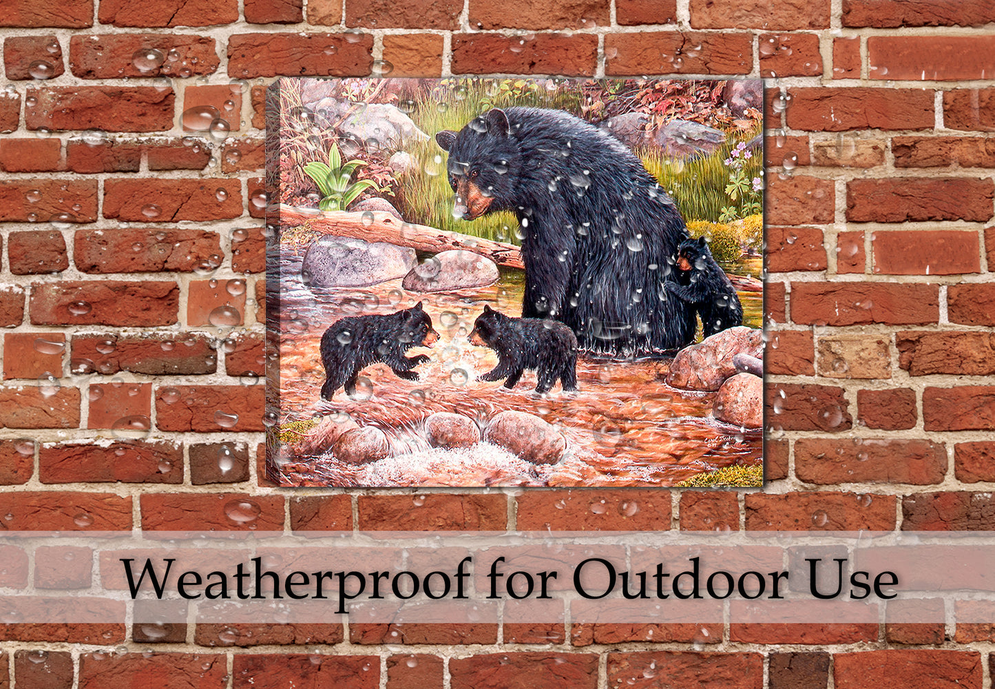 The Bear Creek Gang - Painting of Mama Bear and 3 Cubs by Carol Decker - Printed on Canvas - Hung on Patio Wall in the rain - Waterproof Canvas Art
