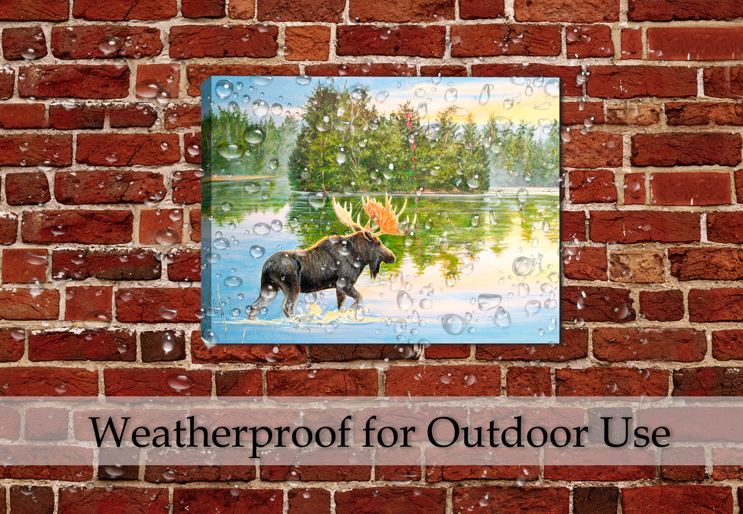 Waterproof Painting of a Moose on a Canvas Wrap hanging on a Outdoor Patio wall.