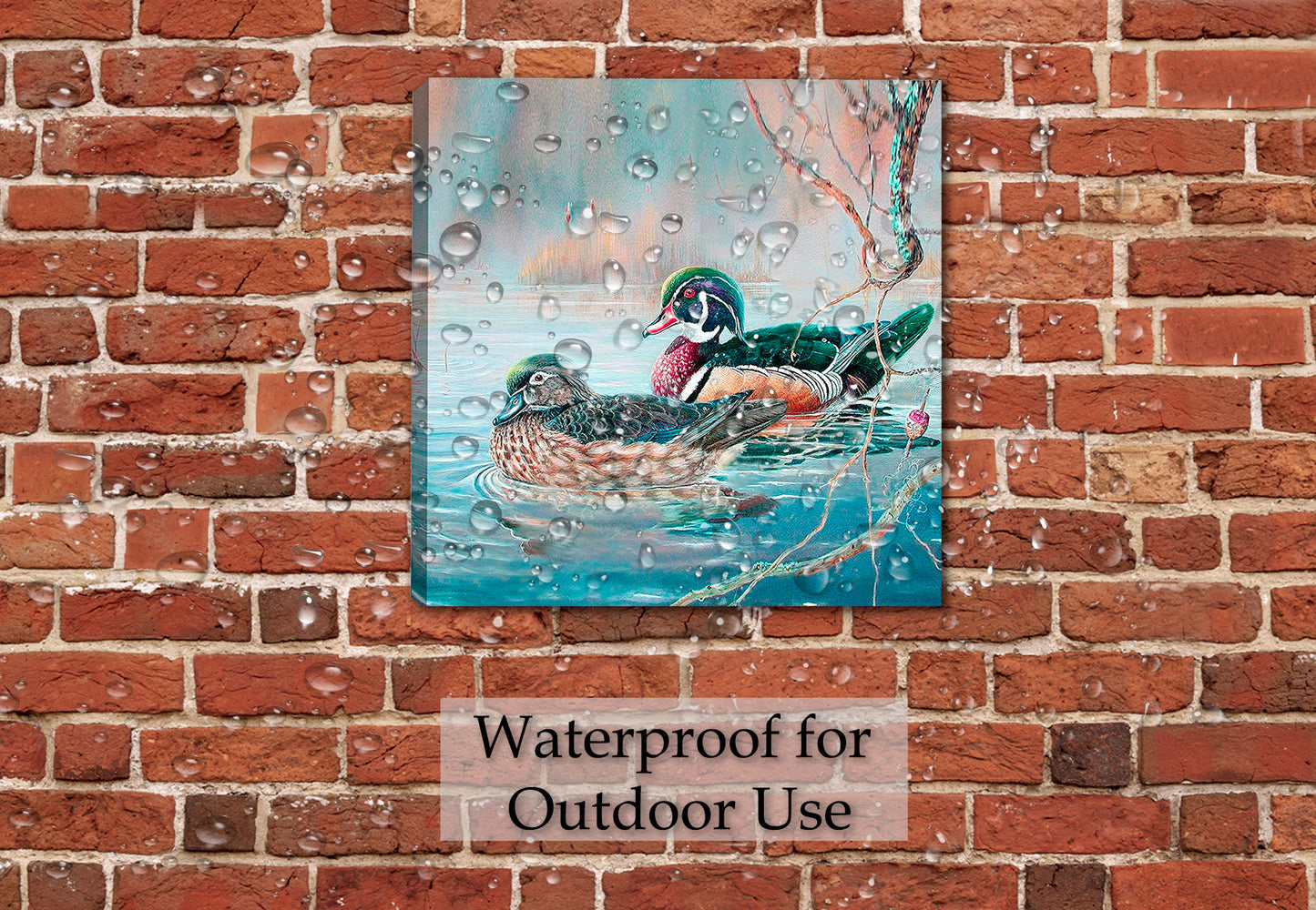 Wood Ducks on Water Painting - Printed on Canvas - Hung on Brick Patio Wall in the Rain.