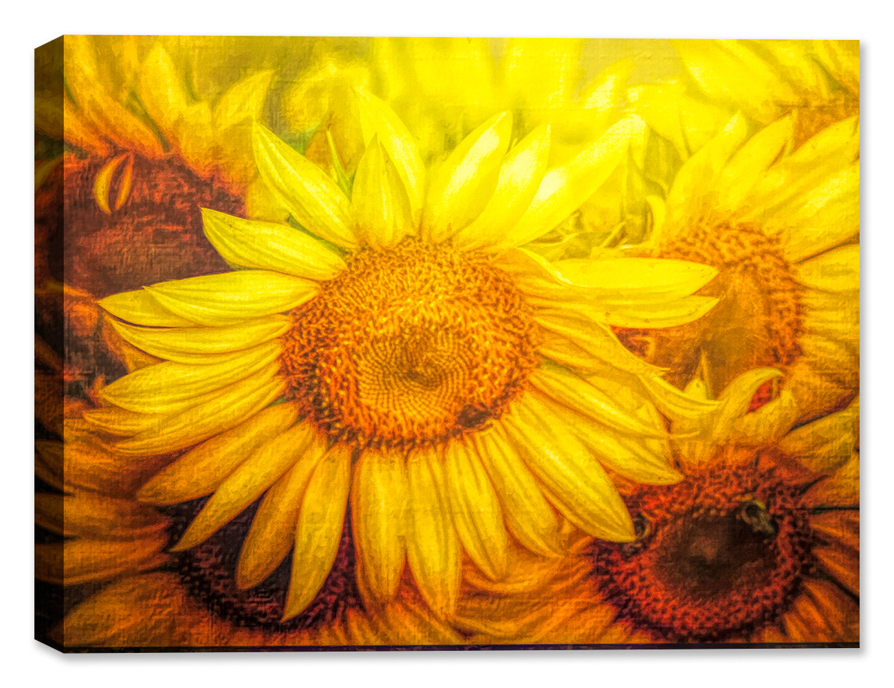 Closeup painting of a Sunflower with rich texture- Printed on Canvas