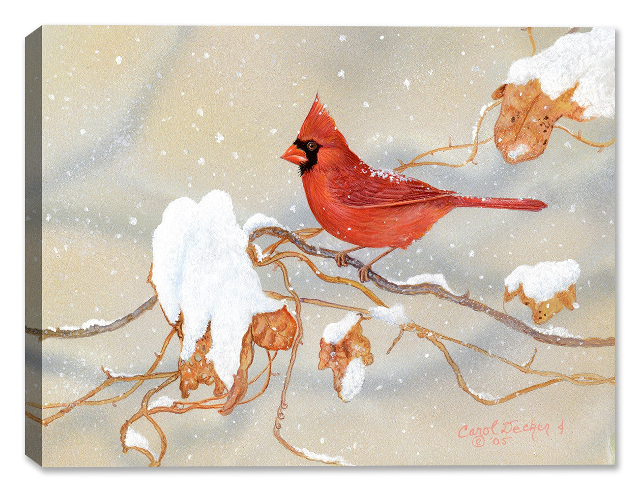 Winter Beauty Cardinal - Painting by Carol Decker – Canvas Art Plus