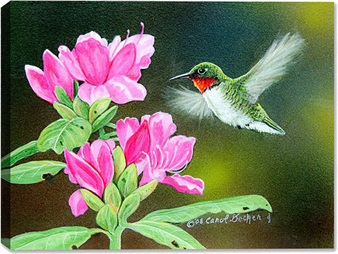 Hummingbird Wall Art  - Canvas & Framed Prints