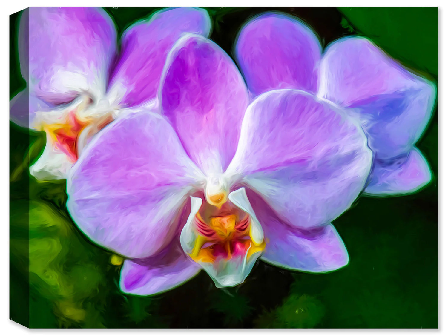 Photograph of a Purple Orchid