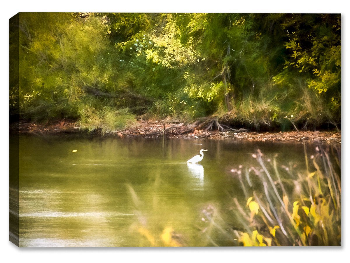 Waterscape - Egret on Pond