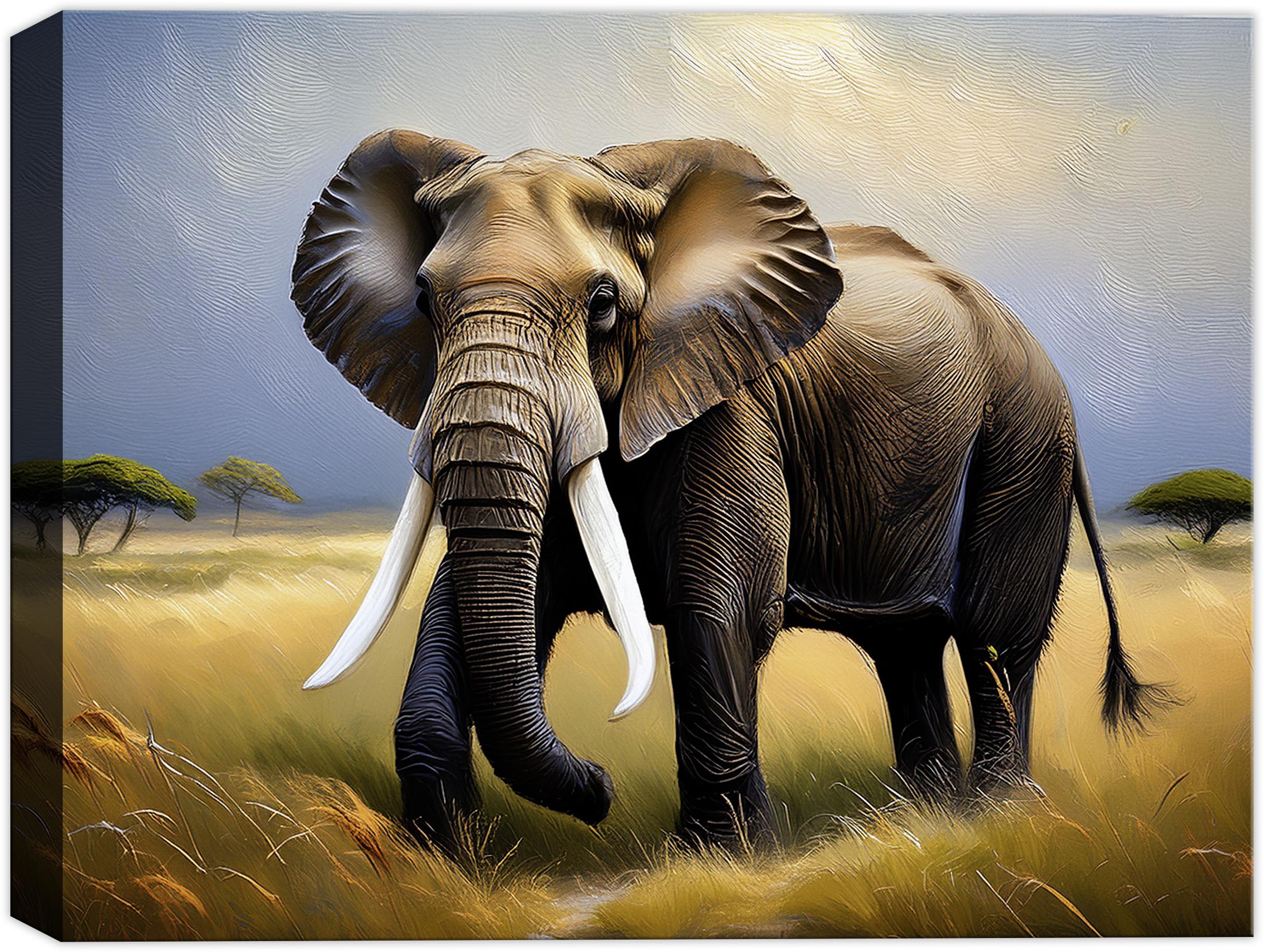 Elephant Painting of a Bull Elephant printed on a canvas wrapped. 