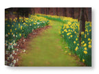 Pathway through a field of yellow flowers with trees in the background