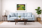Light blue sofa in a living room with a white framed image, a table, and a plant.