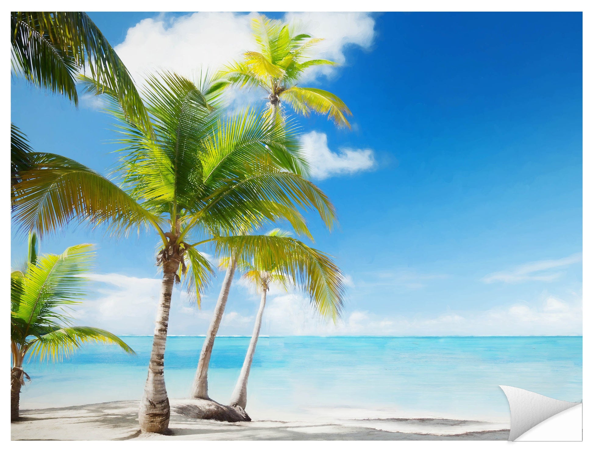 Tropical Beach & Palm Trees  -Photographic Print