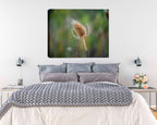Photo of a thistle printed on canvas hanging on the Bedroom wall