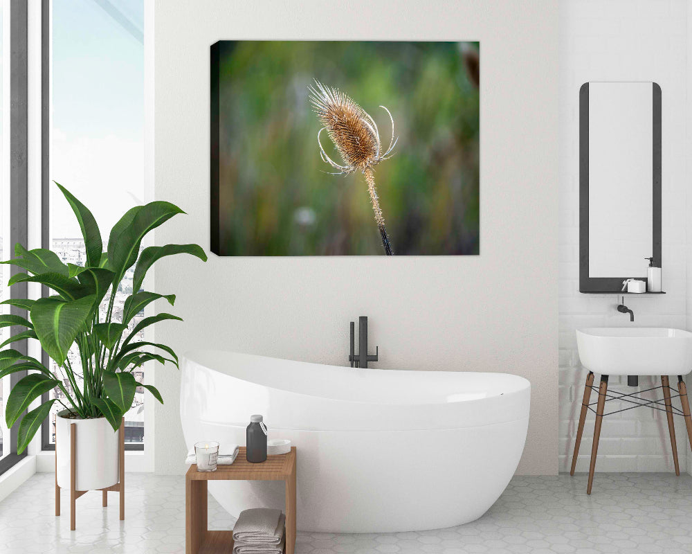 Thistle Photo print on Waterproof Canvas on a  Bathroom wall